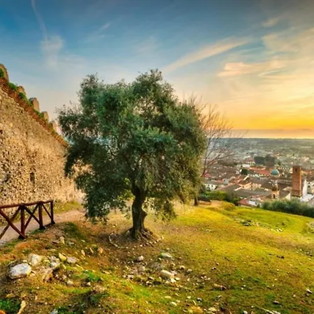 50 M From The Sea And Private Parking *