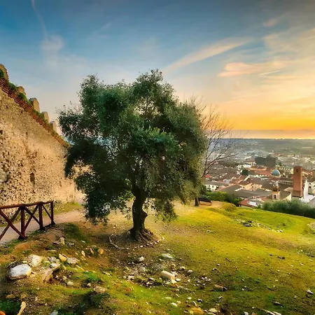 Apartamento Carducci 213