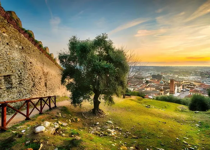 Lejlighed Carducci 213